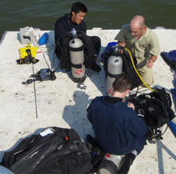 Denbury Green Pipeline