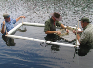 Edwards Aquifer Authority Variable Flow Study