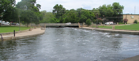 Edwards Aquifer Authority Variable Flow Study