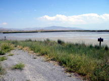 Habitat Quality Index Methods Development