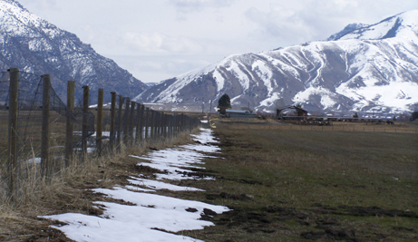 Harbor View LLC Phase I