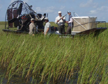 Matagorda Bay