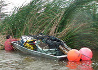 Lower Colorado River Backwaters Vegetation Mapping, Restoration, Model Validation, Habitat Creation, and Biological Assessments