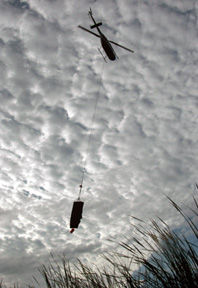 Lower Colorado River Backwaters Vegetation Mapping, Restoration, Model Validation, Habitat Creation, and Biological Assessments