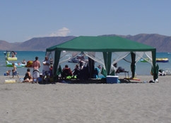 Bear Lake Comprehensive Management Plan