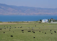 Bear Lake Comprehensive Management Plan