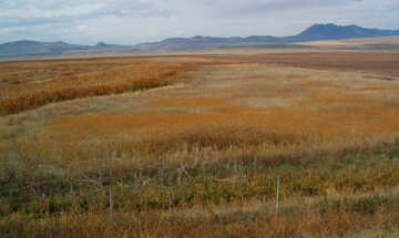 Schreiber Foods Nutrient Management Plan