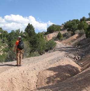 Confidential Client Mineral Classification and Mine Permitting 