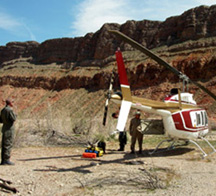 Lake Mead Razorback Sucker Studies