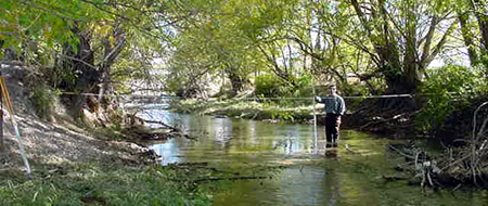 Lower Provo River and Hobble Creek Flow Recommendations