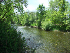 Lower Provo River and Hobble Creek Flow Recommendations