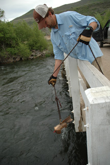 Provo River Sediment Transport, Geomorphic, and Benthic Macroinvertebrate Monitoring