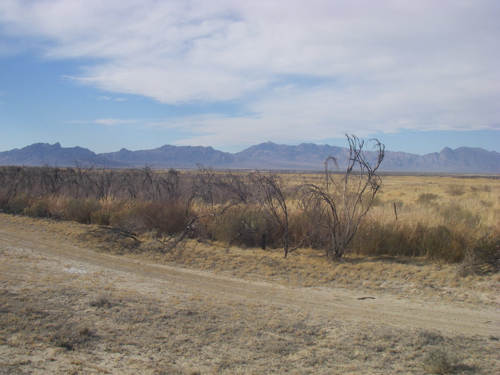 Ash Meadows Springs Restoration Environmental Assessment