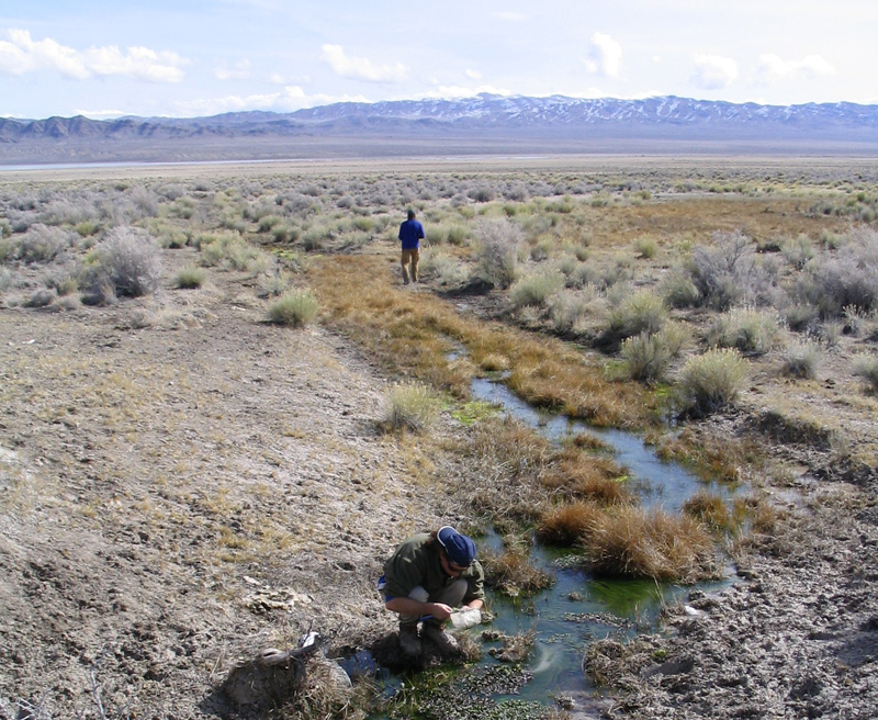 Pahranagat National Wildlife Refuge