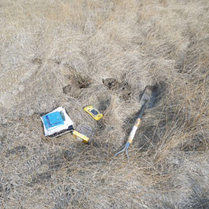 Whitaker Construction