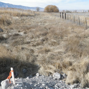 Whitaker Construction