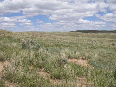 Front Range Pipeline