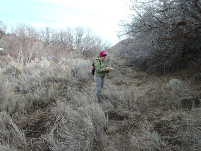 Trailhead observation