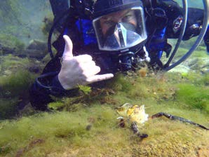 Marty started his scientific career as a $9/hour biologist and his hard work, commitment, and dedication to natural resources, led to him being invited to join BIO-WEST in the mid-2000s.
